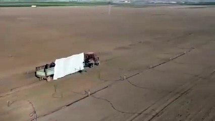 Konyalı çiftçiden hasat zamanı görülmemiş hareket: Hassasiyeti övgü aldı