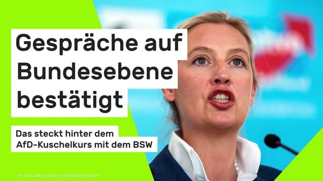 Das steckt hinter dem AfD-Kuschelkurs mit dem BSW