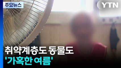 푹푹 찌는 무더위...취약계층도 동물도 '가혹한 여름' / YTN
