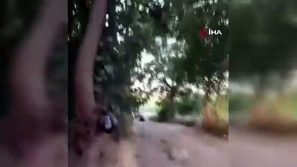 Fotoğraftaki gerçek büyükbaşı görüyor musunuz ? Dört ayaklı olan değil, 2 ayaklı olan!