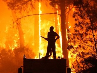 Die Türkei brennt: Mehrere Tode durch Waldbrände