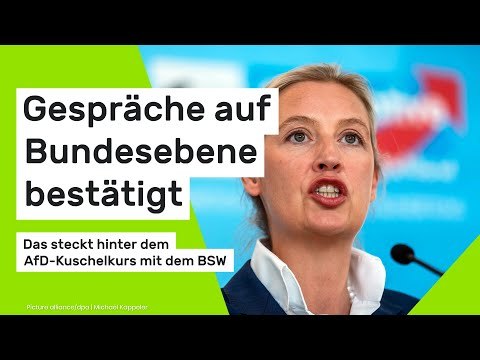 Das steckt hinter dem AfD-Kuschelkurs mit dem BSW