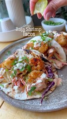 Shrimp Tacos