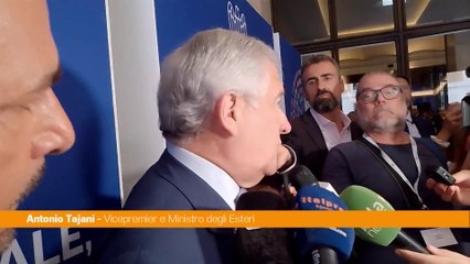 Cittadinanza, Tajani "Ius Italiae è proposta seria"