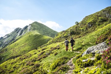 Une randonnée qui TOURNE MAL...
