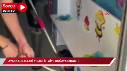 Ayakkabılıktaki yılanı itfaiye doğaya bıraktı