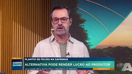 Plantio de feijão na safrinha: alternativa pode render lucro ao produtor