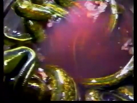 600 секунд (15.11.1992)