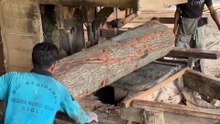 Cutting 2x20 Boards with a Sawmill for Your Dream Home