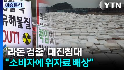 대법 "라돈 검출 대진침대, 소비자에 위자료 배상해야" / YTN