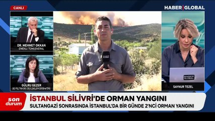 İzmir'deki yangınlar büyüyor! Acı haber geldi