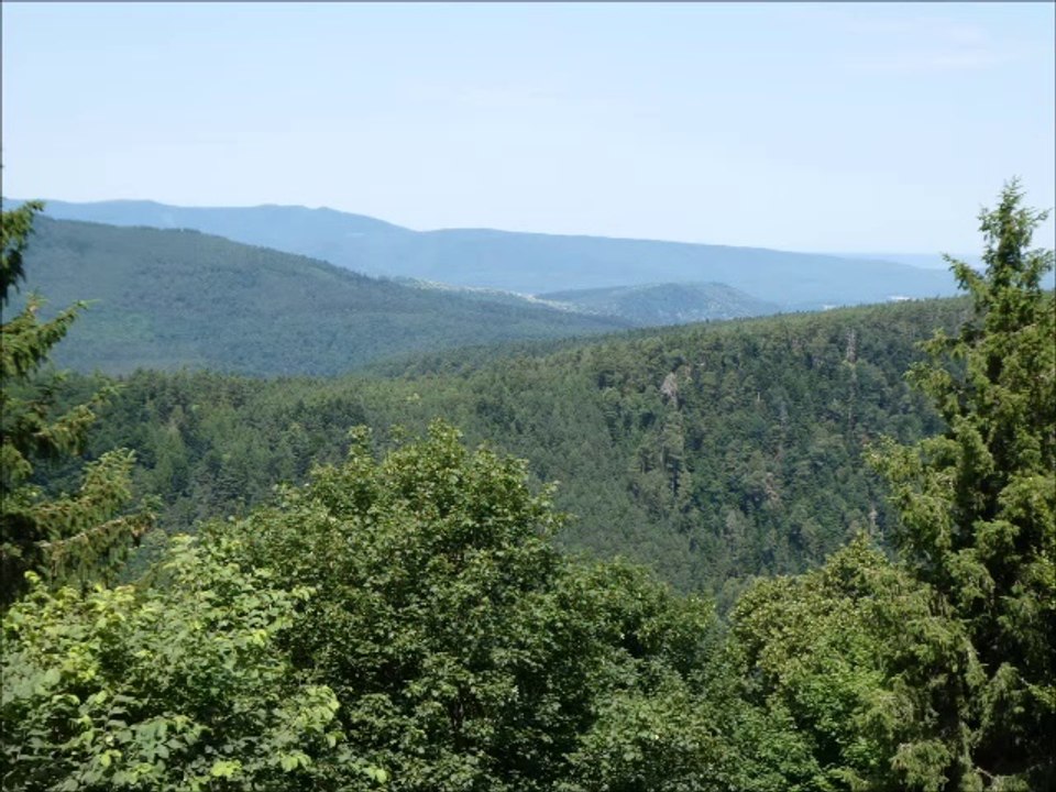 Balades autour du Mont Sainte-Odile (Alsace)