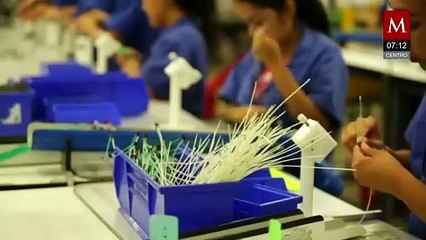 Morena impulsará reforma electoral y jornada laboral de 40 horas en próximo periodo