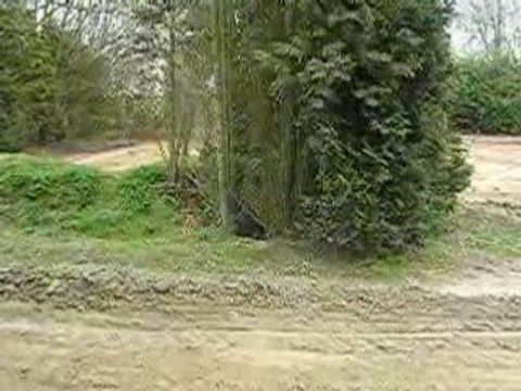 2008-03-29 Hélécine Romain