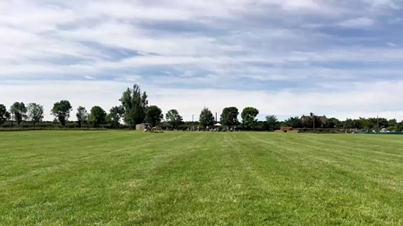 Whippets at Stilton Dog Park