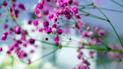 Sublimez vos poses avec nos VSP violets 💜 | Elyamaje - Vernis Semi-Permanents