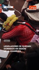 LEGISLADORES DURMIENDO EN PLENA SESION