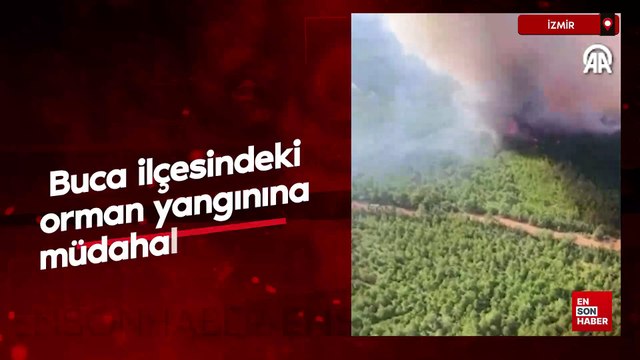 İzmir'in Buca ilçesindeki orman yangınına müdahale ediliyor