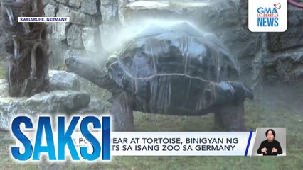 Mga polar bear at tortoise, binigyan ng frozen treats sa isang zoo sa Germany | Saksi