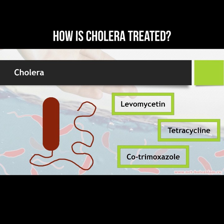 How is cholera treated?