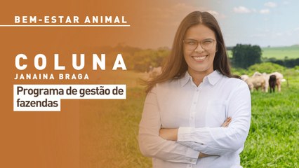 Bem-estar animal: programa de gestão de fazendas