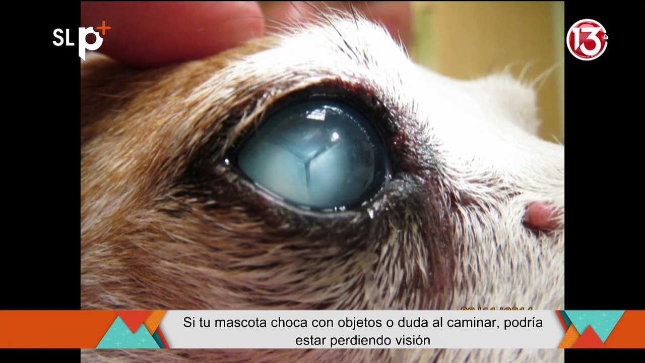 SLP Miércoles 2 julio Entrevista 1, image size:1280x720