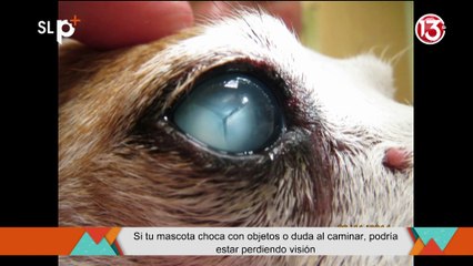 SLP Miércoles 2 julio Entrevista 1