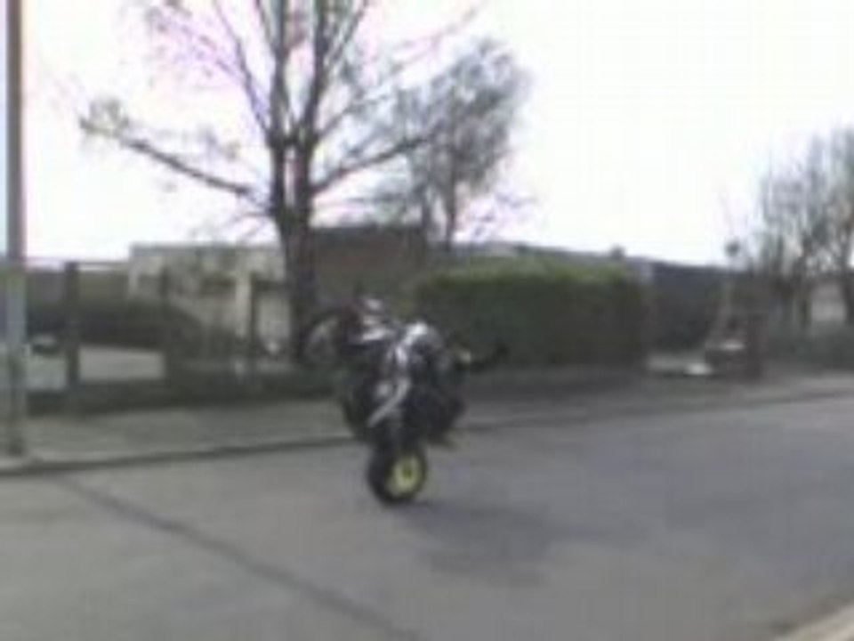STUNT