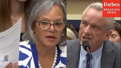 'You're Unaware Of What Your Own Department's Website States': Robin Kelly Mercilessly Grills RFK Jr