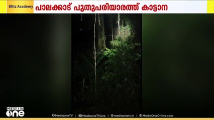 പാലക്കാട് പുതുപരിയാരത്ത് വീടിനു സമീപം നിലയുറപ്പിച്ച് കാട്ടാന