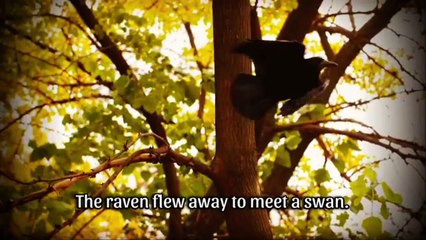Whenever You Feel Sad In Life, Watch This | Best Motivational Story Of a Monk And  Raven