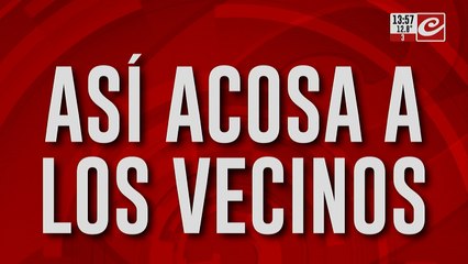 Brutal denuncia contra una vecina: así acosa a los vecinos