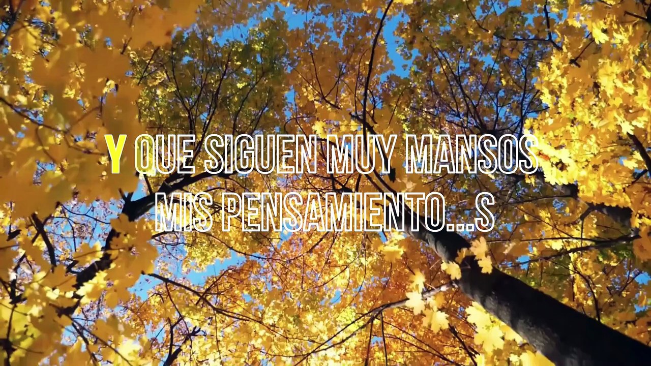 León Gieco - Si ves a mi padre (KARAOKE)