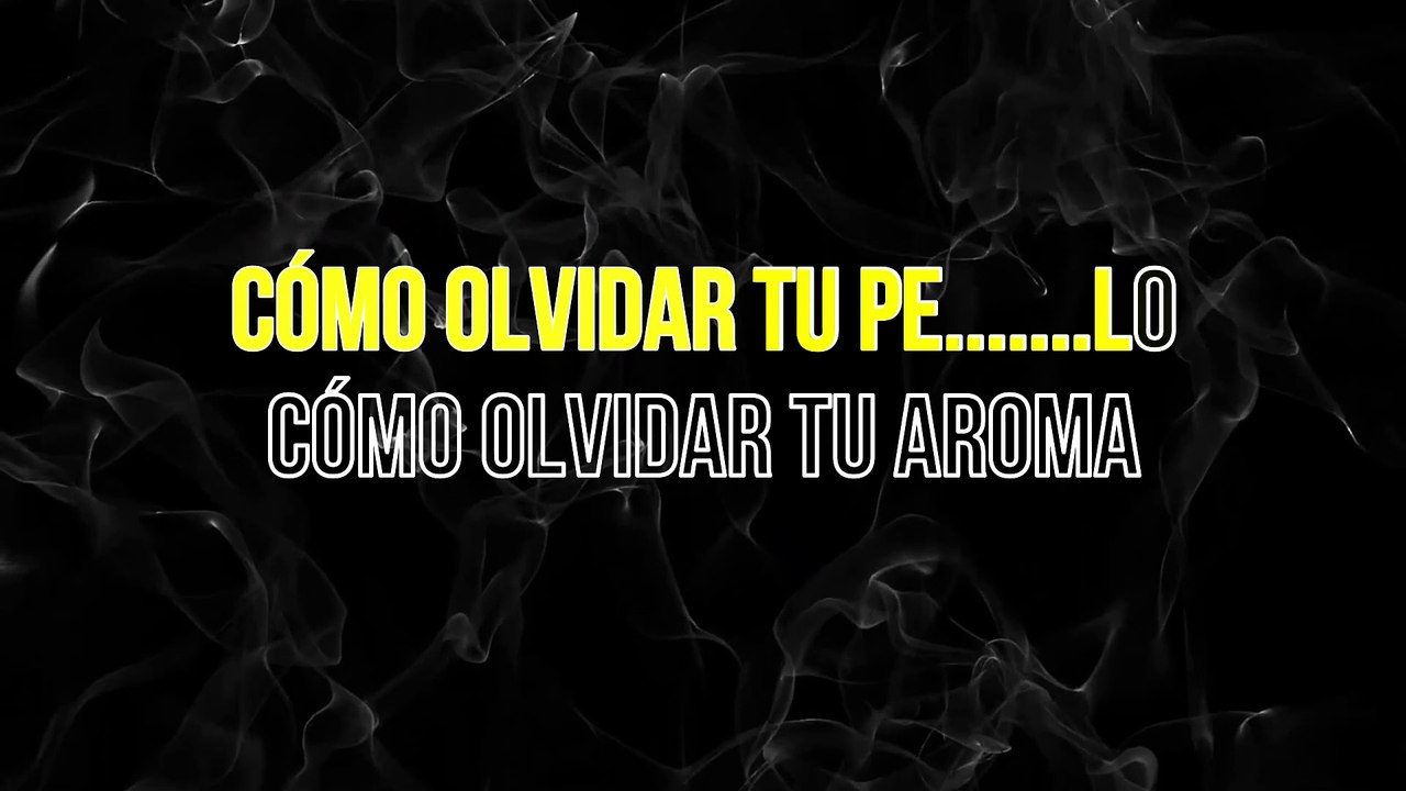 Leonardo Favio - Fuiste mía un verano (KARAOKE)