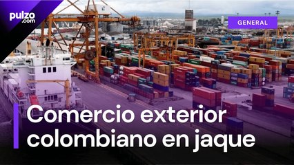 Fallas en la DIAN generan millonarias pérdidas y quejas de los importadores  Pulzo