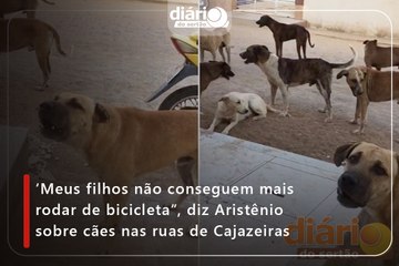 ‘Meus filhos não conseguem mais rodar de bicicleta”, diz Aristênio sobre cães nas ruas de Cajazeiras