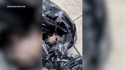New York City Woman Finds Distressed Dog with 'Broken Jaw' Discarded in 'Heavy Duty Trash Bags'