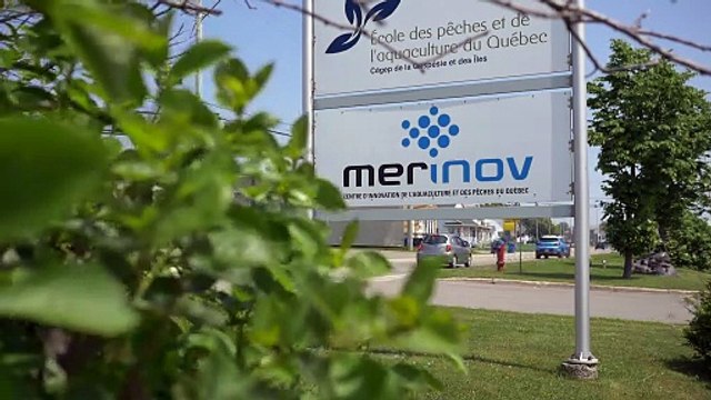 03 juillet TOPO FC chagement Merinov V2