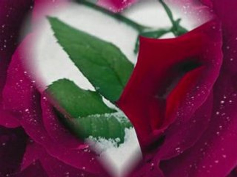 Kim sevdi seni benim kadar