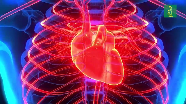 El calor extremo también afecta al corazón lo que debes saber en medio de las olas de calor