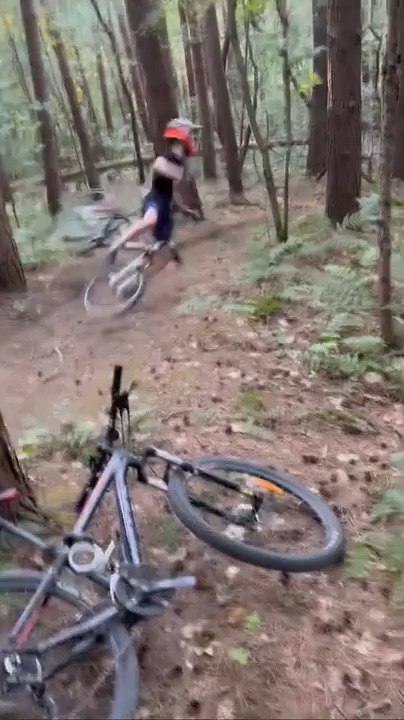 MTB Rider Falls After Jumping Over Tree Branch