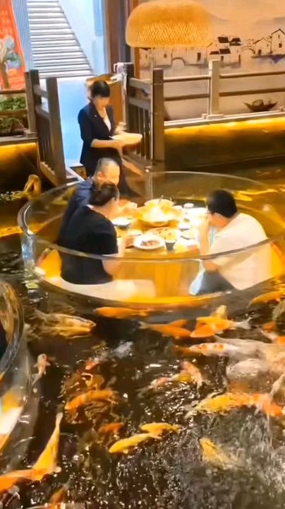 les 3 restaurants sous marins les plus chic