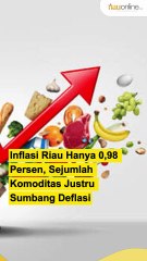 Inflasi Riau Hanya 0,98 Persen, Sejumlah Komoditas Justru Sumbang Deflasi