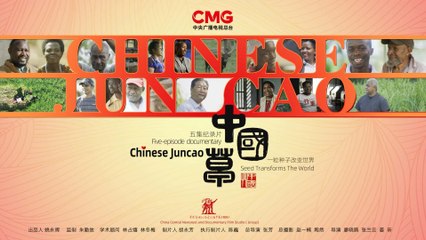 Chinese Juncao Ep01