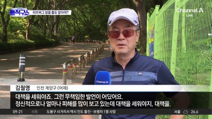 [핫피플]계양구청장 “러브버그, 국민이 참을 줄도 알아야”