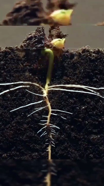 time lapse