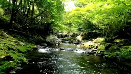 karbala series ✨ قسط 6: شبِ عاشور – وفا کا امتحان اور حسینؑ کی آخری راتepisode no 06