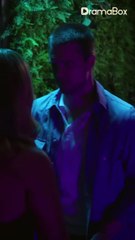 Black Cobra Strikes Back