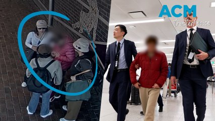 'FIFO criminals': $3 million elderly Chinese ‘blessing scam’ busted