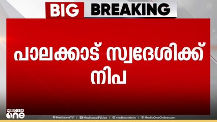 മണ്ണാർക്കാട് സ്വദേശിനിക്ക് നിപ സ്ഥിരീകരിച്ചു; ആരോഗ്യനില ഗുരുതരം; 4 വാർഡുകൾ കണ്ടെയ്ൻമെൻ്റ് സോൺ
